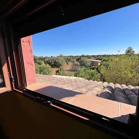 אוסה דה מונטיאל Villa Tranquila Lagunas De Ruidera מראה חיצוני תמונה