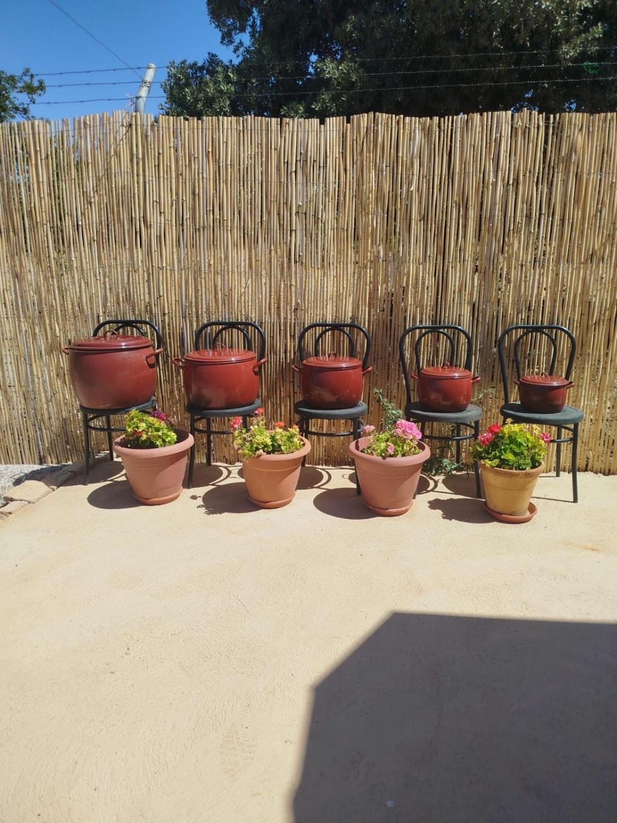 אוסה דה מונטיאל Villa Tranquila Lagunas De Ruidera מראה חיצוני תמונה